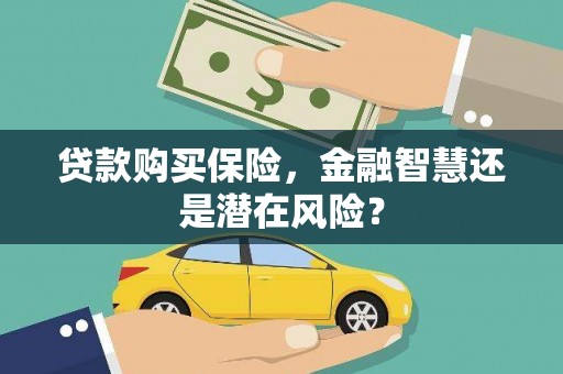 泗阳贷款购买保险，金融智慧还是潜在风险？