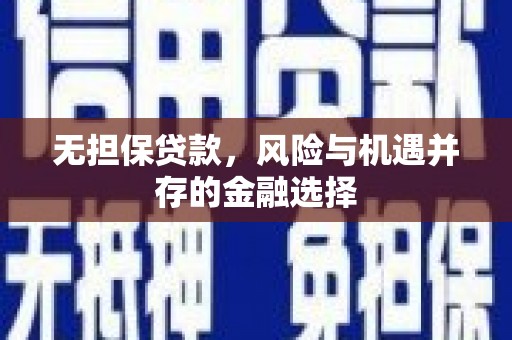 白水无担保贷款，风险与机遇并存的金融选择