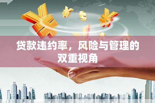 友谊贷款违约率，风险与管理的双重视角