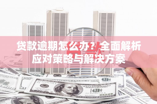 嘉黎贷款逾期怎么办？全面解析应对策略与解决方案
