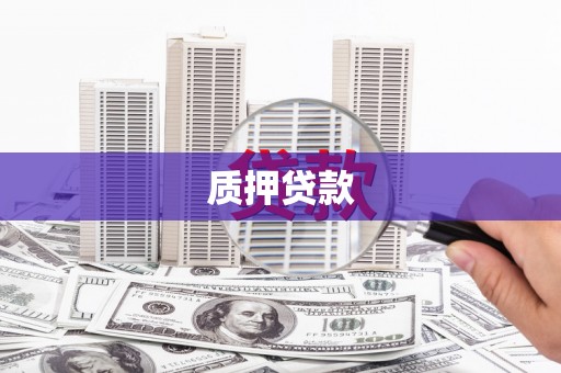 永靖质押贷款