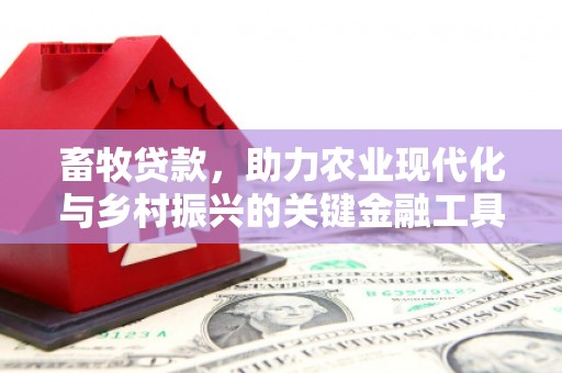 修水畜牧贷款，助力农业现代化与乡村振兴的关键金融工具