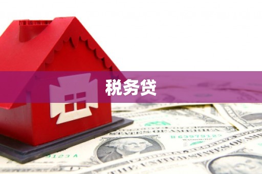 巍山税务贷