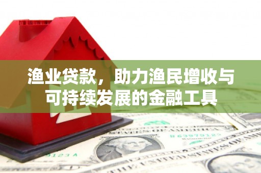 伽师渔业贷款，助力渔民增收与可持续发展的金融工具