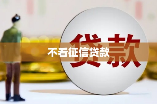 巨野不看征信贷款