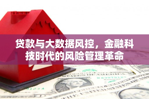 芦溪贷款与大数据风控，金融科技时代的风险管理革命