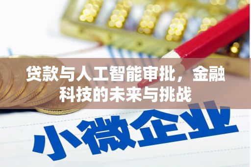 丰宁贷款与人工智能审批，金融科技的未来与挑战