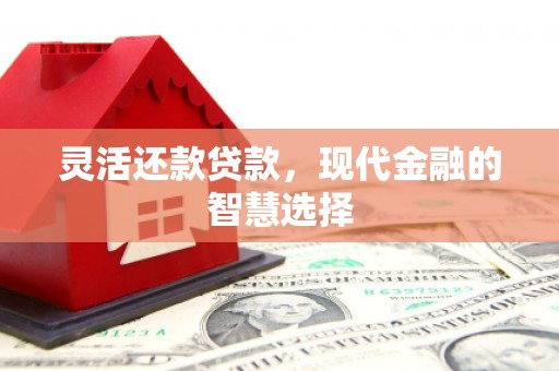 荔湾灵活还款贷款，现代金融的智慧选择