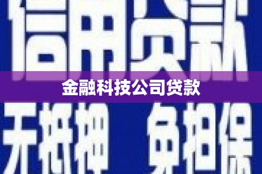 凤凰金融科技公司贷款