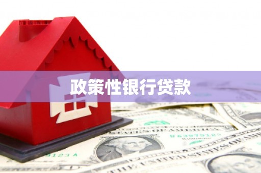 黄大仙政策性银行贷款