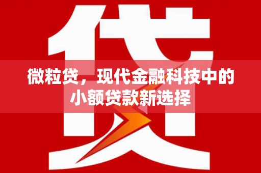 江岸微粒贷，现代金融科技中的小额贷款新选择