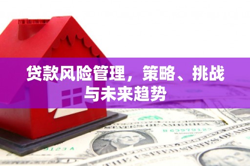 外埔贷款风险管理，策略、挑战与未来趋势