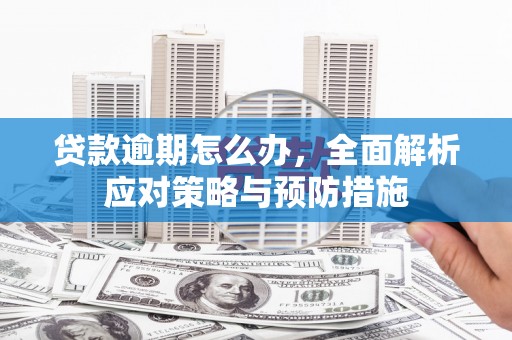 镇原贷款逾期怎么办，全面解析应对策略与预防措施