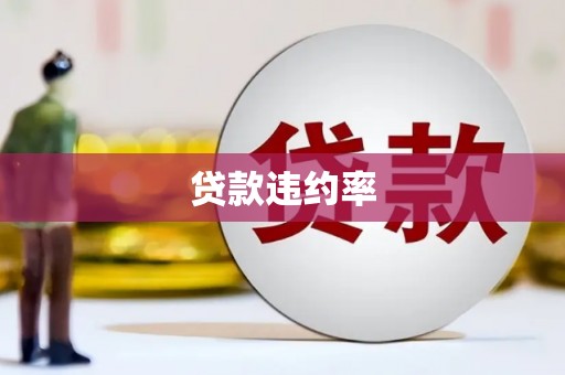东安贷款违约率