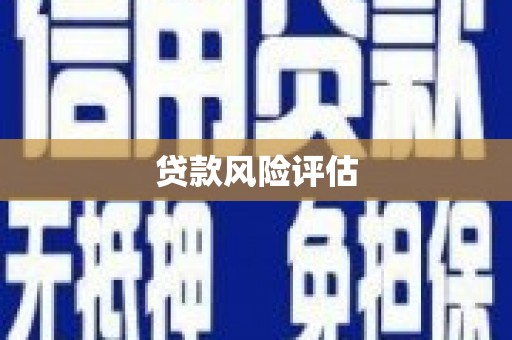 巴东贷款风险评估