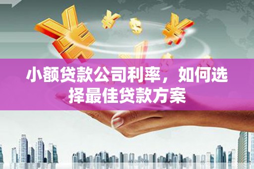潍坊小额贷款公司利率，如何选择最佳贷款方案