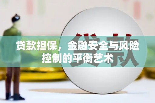 尖扎贷款担保，金融安全与风险控制的平衡艺术