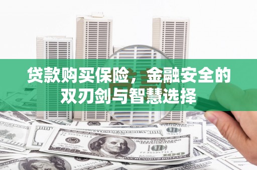 兴县贷款购买保险，金融安全的双刃剑与智慧选择