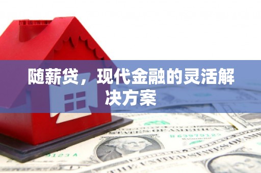 大甲随薪贷，现代金融的灵活解决方案