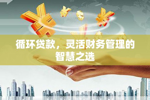 鹿泉循环贷款，灵活财务管理的智慧之选