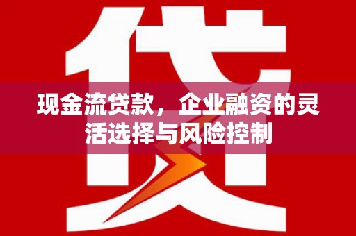 湾仔区现金流贷款，企业融资的灵活选择与风险控制