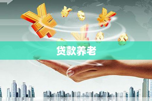 赣州贷款养老