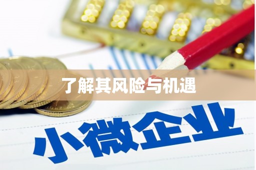 昭苏了解其风险与机遇