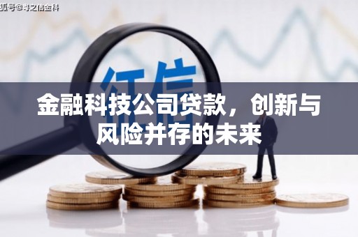 宜丰金融科技公司贷款，创新与风险并存的未来
