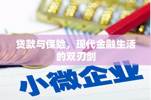 新园贷款与保险，现代金融生活的双刃剑