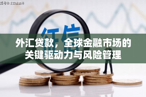 洛阳外汇贷款，全球金融市场的关键驱动力与风险管理