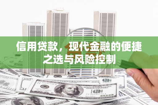 临渭信用贷款，现代金融的便捷之选与风险控制