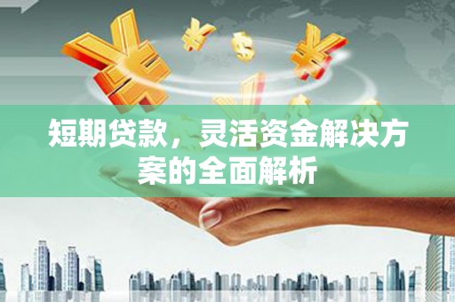 路环岛短期贷款，灵活资金解决方案的全面解析