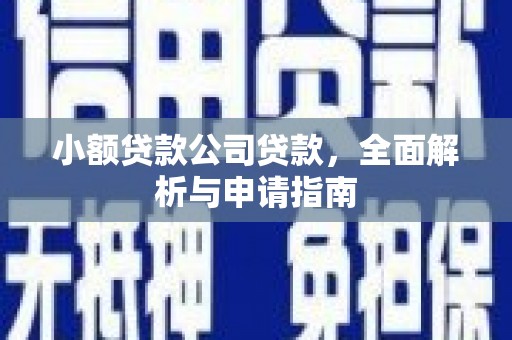 新抚小额贷款公司贷款，全面解析与申请指南