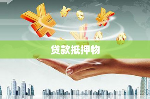 五指山贷款抵押物