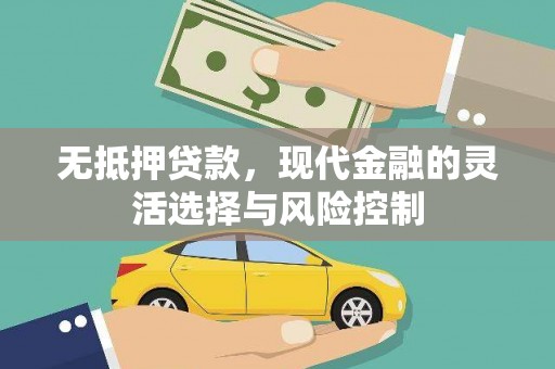 天峨无抵押贷款，现代金融的灵活选择与风险控制