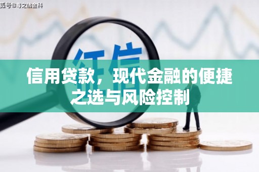 东至信用贷款，现代金融的便捷之选与风险控制