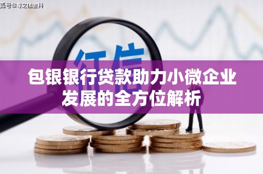 临漳包银银行贷款助力小微企业发展的全方位解析