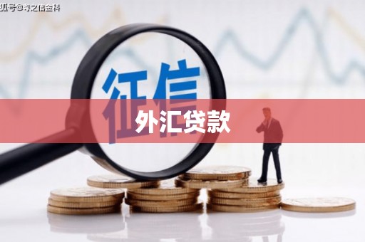 沁阳外汇贷款