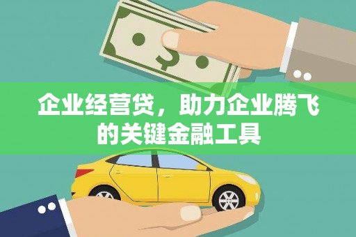 滁州企业经营贷，助力企业腾飞的关键金融工具