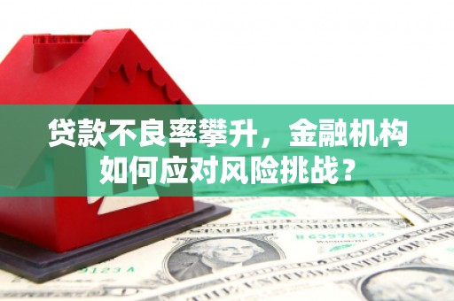 剑川贷款不良率攀升，金融机构如何应对风险挑战？