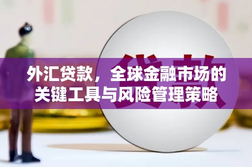 里港外汇贷款，全球金融市场的关键工具与风险管理策略