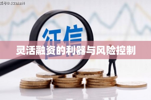 攸县灵活融资的利器与风险控制