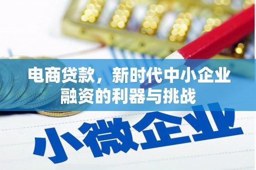河池电商贷款，新时代中小企业融资的利器与挑战
