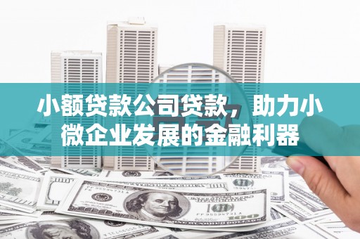 淡水小额贷款公司贷款，助力小微企业发展的金融利器