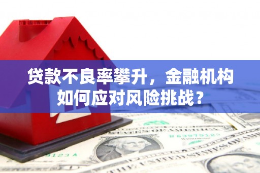 乐昌贷款不良率攀升，金融机构如何应对风险挑战？