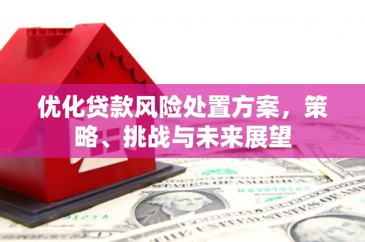 南郊优化贷款风险处置方案，策略、挑战与未来展望