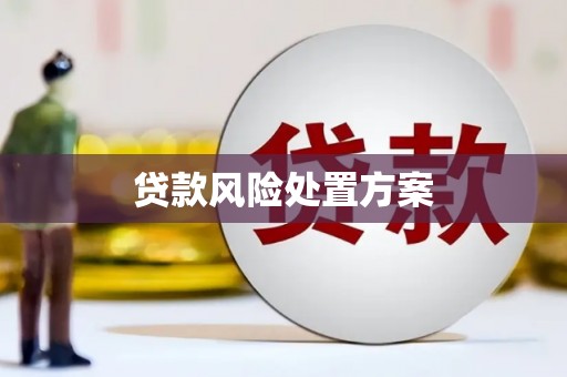 文县贷款风险处置方案