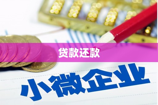 青阳贷款还款
