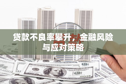 宝坻贷款不良率攀升，金融风险与应对策略