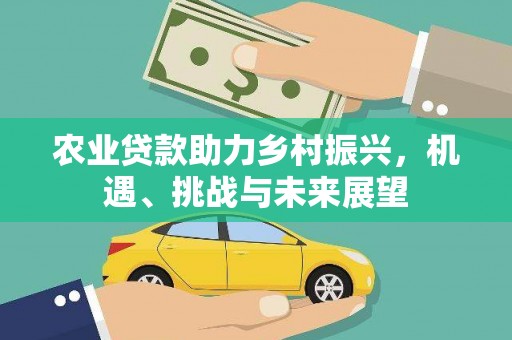 高平农业贷款助力乡村振兴，机遇、挑战与未来展望